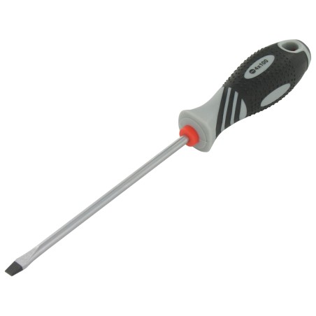 VAR Cacciavite Phillips 1x100mm