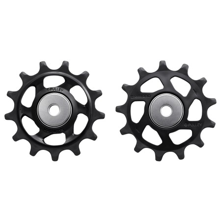 Set pulegge (RD-M9100)