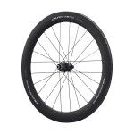 RUOTA POSTERIORE TUBOLARE DURA-ACE C60