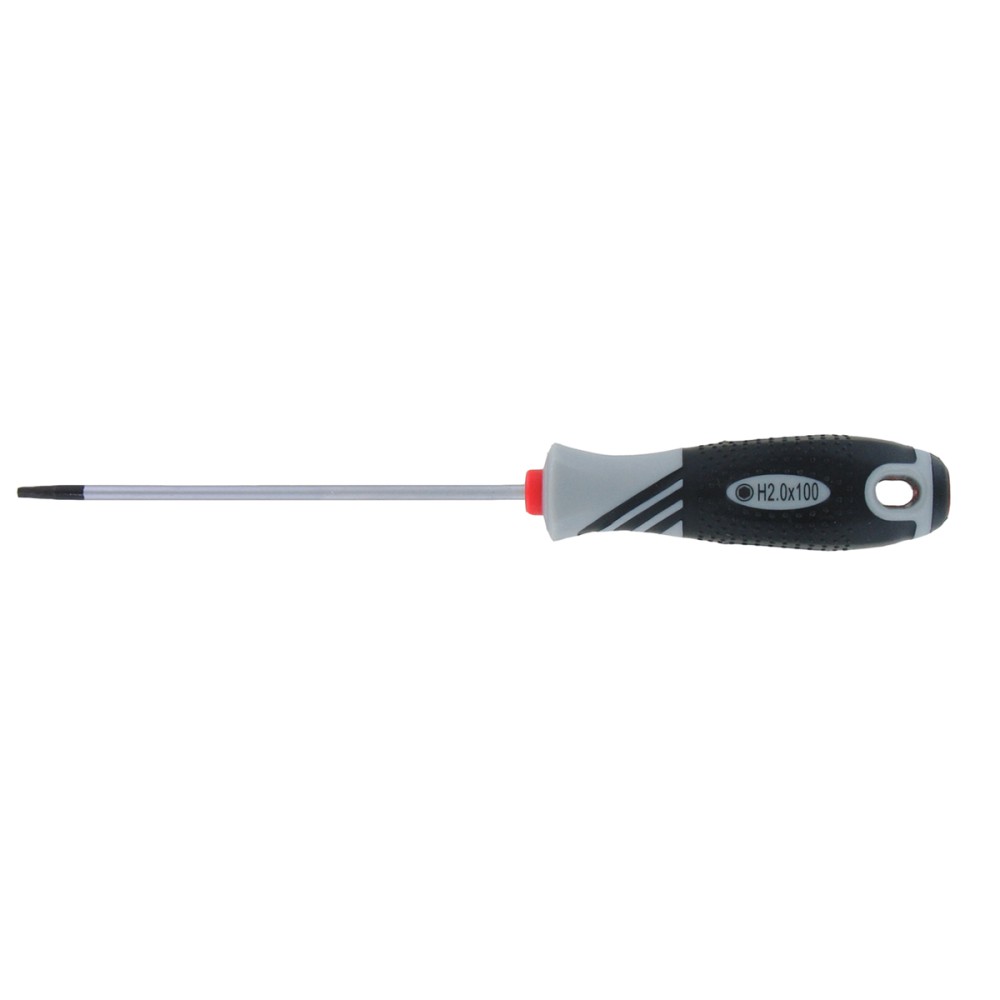 VAR Cacciavite Esagonale 3mm