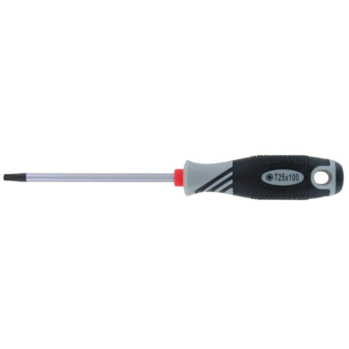 VAR Cacciavite Torx® T10