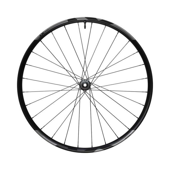 RUOTA ANTERIORE DEORE XT 29 110X15 MM