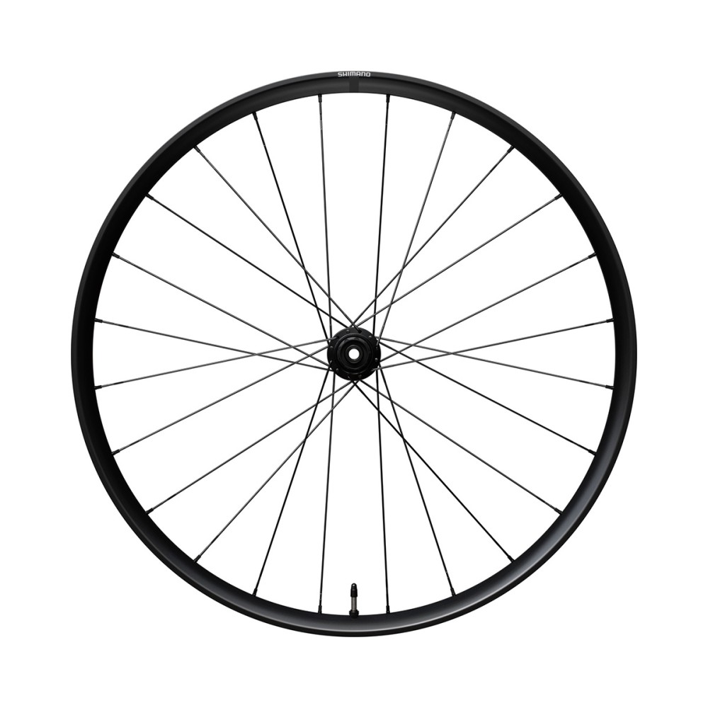 RUOTA POSTERIORE ALLUMINIO TUBELESS