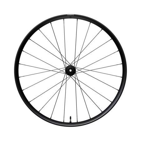 RUOTA POSTERIORE ALLUMINIO TUBELESS