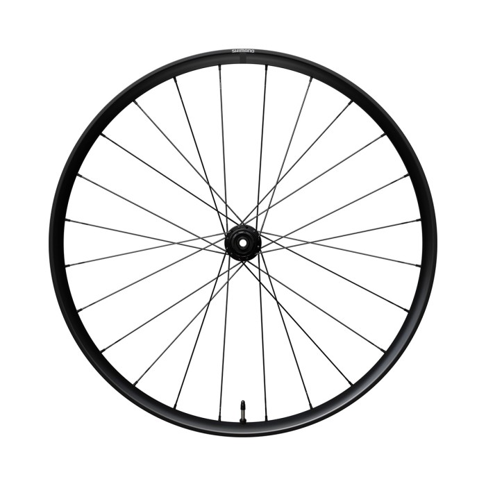 RUOTA POSTERIORE ALLUMINIO TUBELESS
