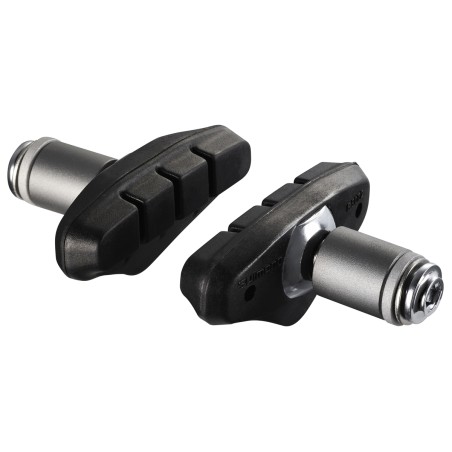 R50T2 (BR-CX50) con (L) Perni & Rondelle